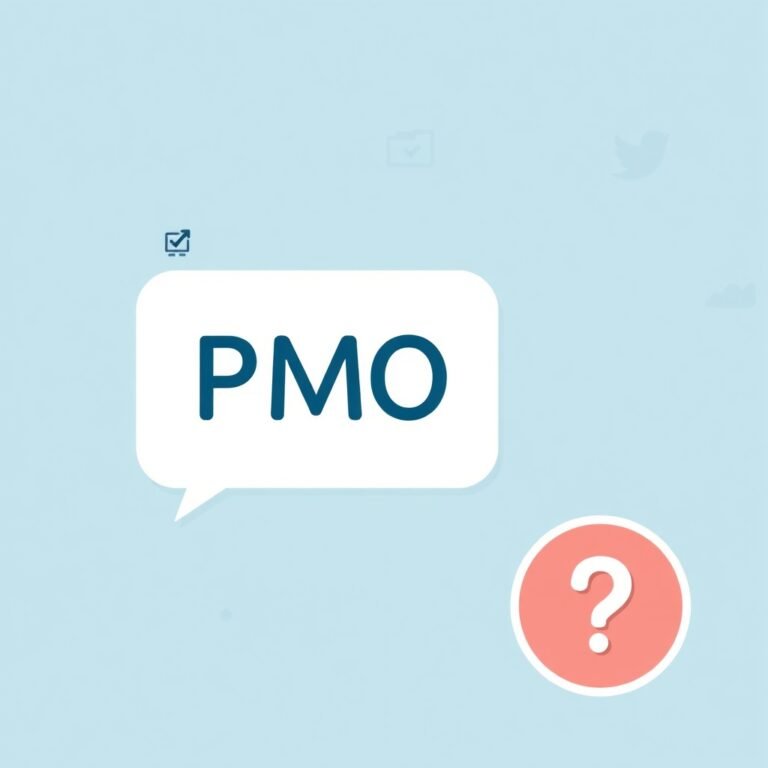 what does pmo mean in text? PMO Meaning, Context & Examples